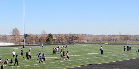 What happened to our turf?