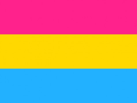 This is the flag to represents pan-sexual pride.