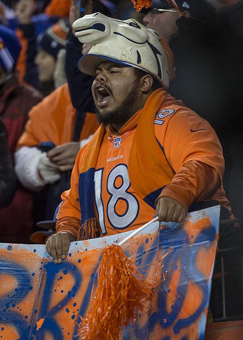 Broncos fans celebrate after Denver took a 20-13 lead against Pittsburgh during the fourth quarter on Sunday, Jan. 17, 2016, at Sports Authority Field at Mile High in Denver. (Christian Murdock/Colorado Springs Gazette/TNS)