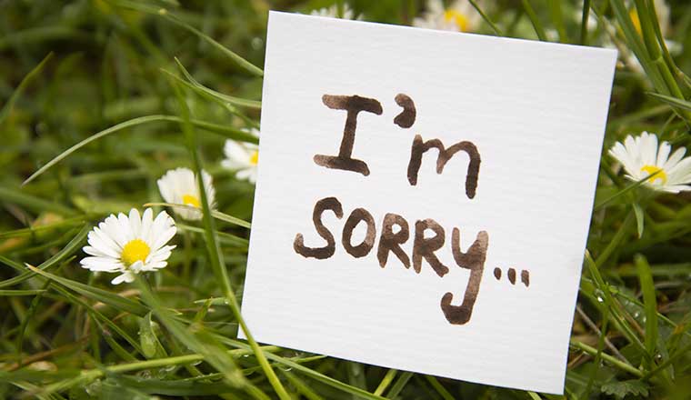 OPINION: Dont be sorry