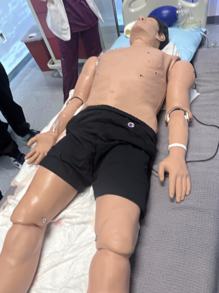 A cpr dummy is used to practice chest compressions.