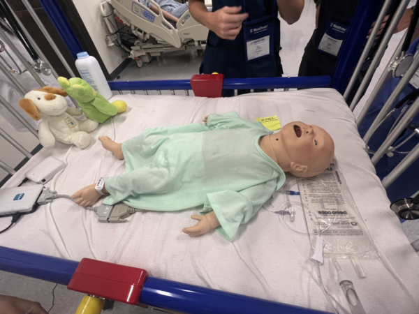 This model is used to practice finding a  toddler’s heartbeat, and learn bedside manners.